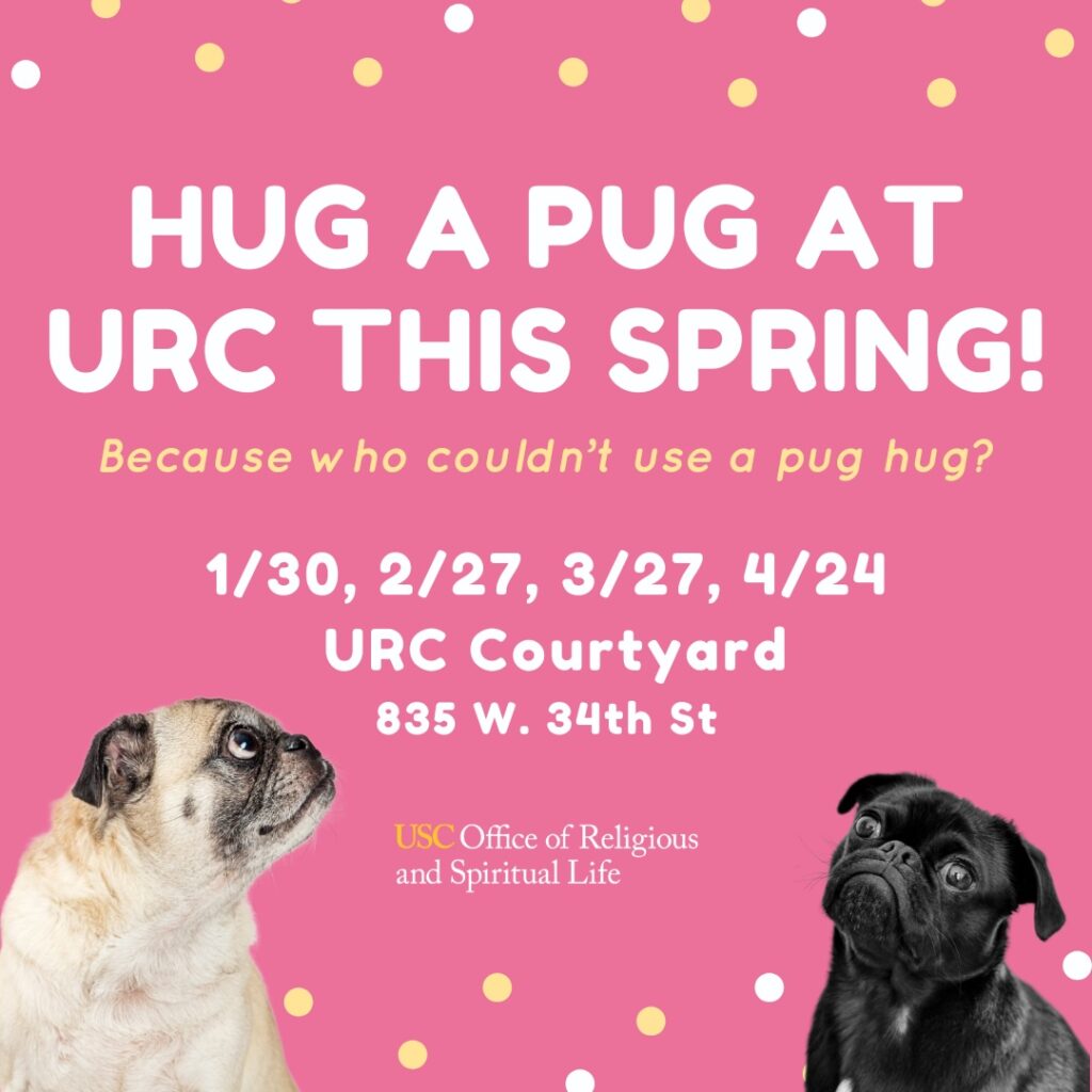 Flyer for Hug a Pug Spring 2025