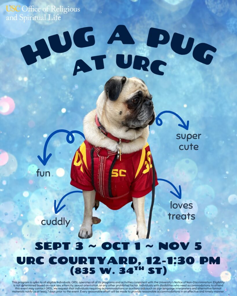 Hug A Pug flyer